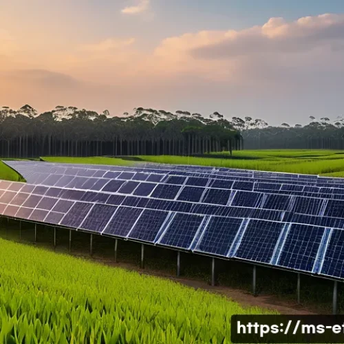 Home 28 전자기술사와 최신 기술 사례 연구 - A modern Malaysian solar farm in Johor at sunrise, featuring rows of high-efficiency photovoltaic so...